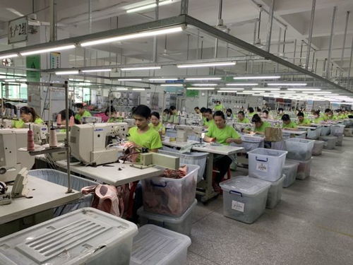 明星陳德容代言的內衣加盟品牌閨秘內衣有什么魅力