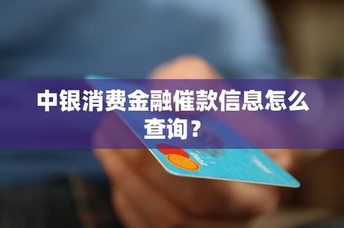 中銀消費金融催款信息查詢指南及經濟信息咨詢服務解析